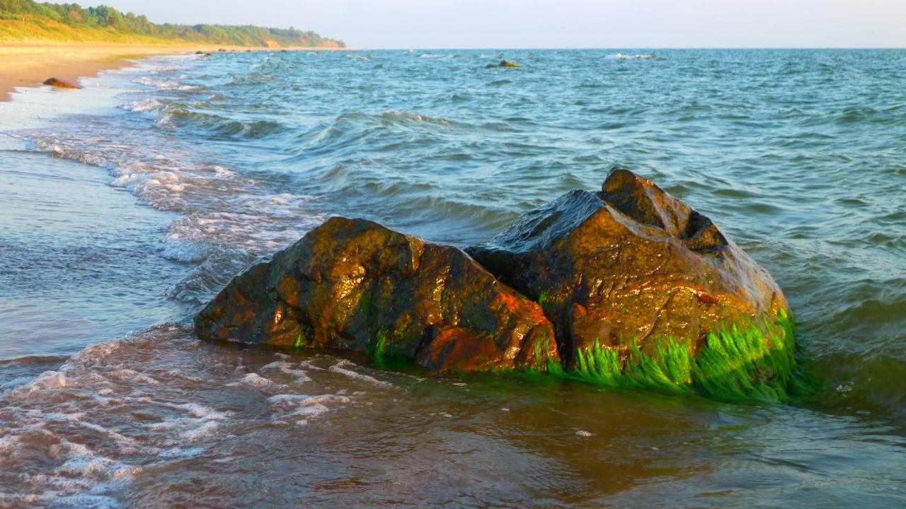Hotel Provincija Palanga Exteriér fotografie
